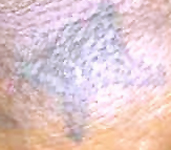 1616961292048.png
