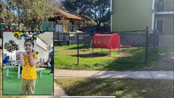 1640491261796.png 1640491261796.png