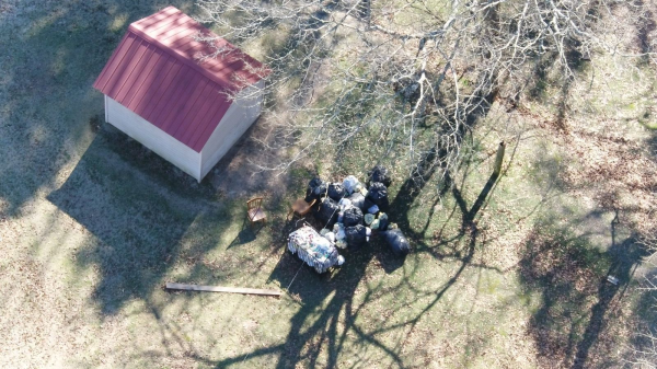 1737594447760.png 1737594447760.png