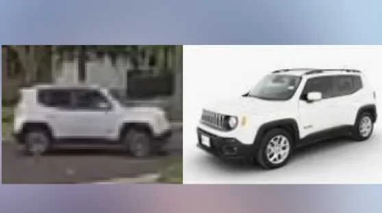 1752301258806.webp 1752301258806.webp