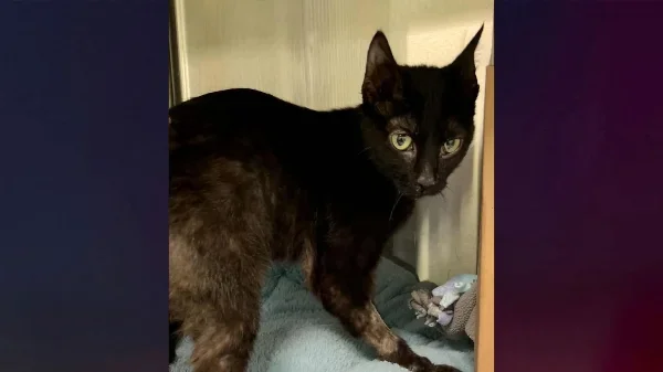 FB_IMG_1762629231534.webp FB_IMG_1762629231534.webp