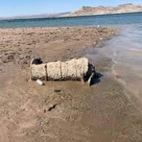 How many unidentified remains will be found as Lake Mead's water levels continue to decrease?  #mystery